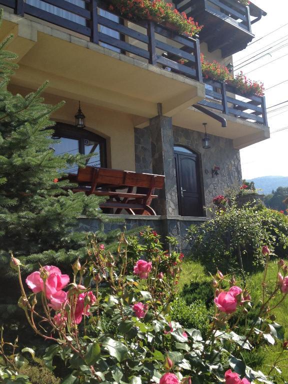 Pension Casa Ali & Andu Buşteni Екстериор снимка