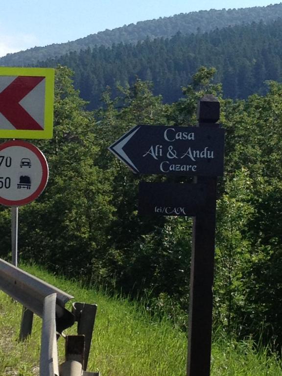 Pension Casa Ali & Andu Buşteni Екстериор снимка