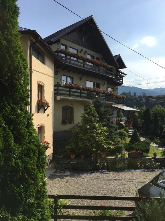 Pension Casa Ali & Andu Buşteni Екстериор снимка