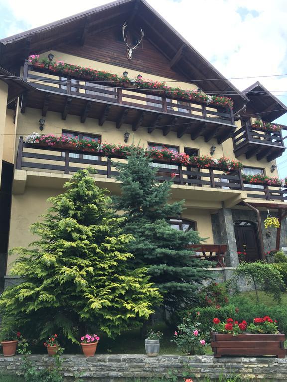 Pension Casa Ali & Andu Buşteni Екстериор снимка
