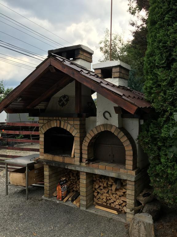 Pension Casa Ali & Andu Buşteni Екстериор снимка